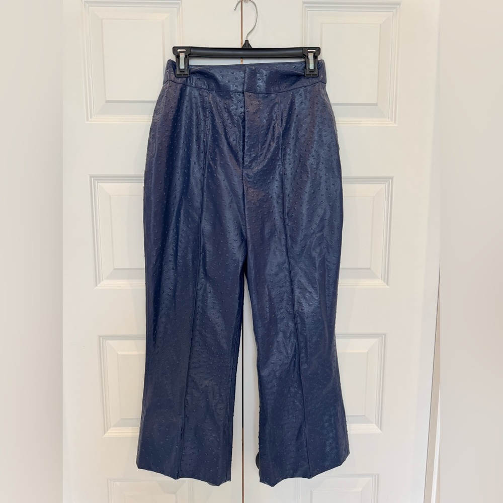 Emily McCarthy Saylor Blue Cropped Flare Reptile Pants size XS
